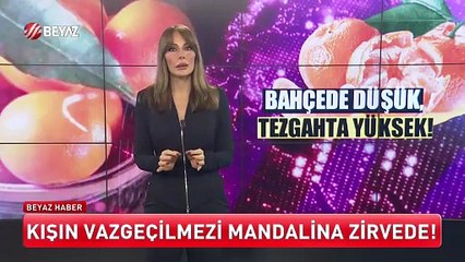 Beyaz Ana Haber 29 Aralık 2025