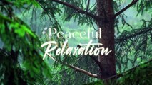 Relaxing Music & Rain Sounds - Beautiful Piano Music, Sleeping , Healing Music, Peaceful Relaxation