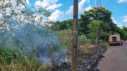Bombeiros combatem incêndio em vegetação no Parque Verde
