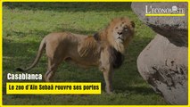 Casablanca : Le zoo d'Aïn Sebaâ rouvre ses portes