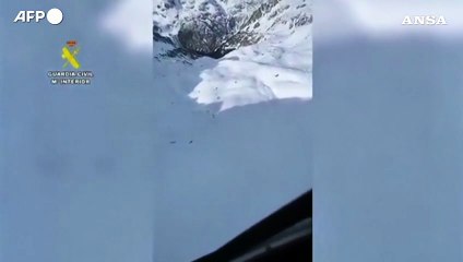 Tre morti in una valanga sui Pirenei spagnoli