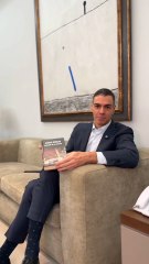 El tiktok viral con las tomas falsas de Pedro Sánchez