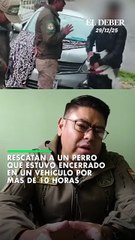 Rescatan a un perro  que estuvo encerrado en un vehículo por  más de 10 horas