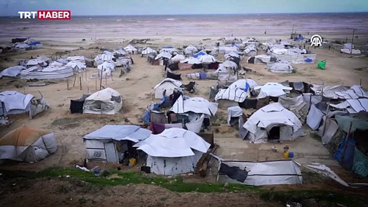 Gazzelilerin kışla imtihanı