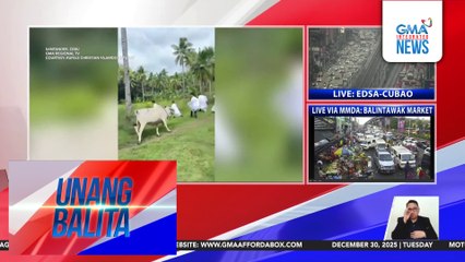 Mga sakristang may dala na imahen ng batang Hesus, hinabol ng baka | Unang Balita