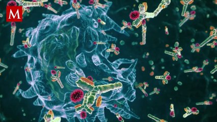 ¿Te dio gripe y a los días te enfermaste otra vez? Esto dice la ciencia sobre la inmunidad