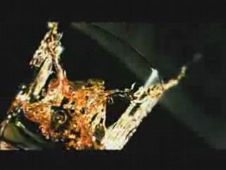 Whiskey oppure Whisky?