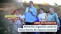Pdte Maduro proyecta a Venezuela como potencia mundial de alimentos orgánicos