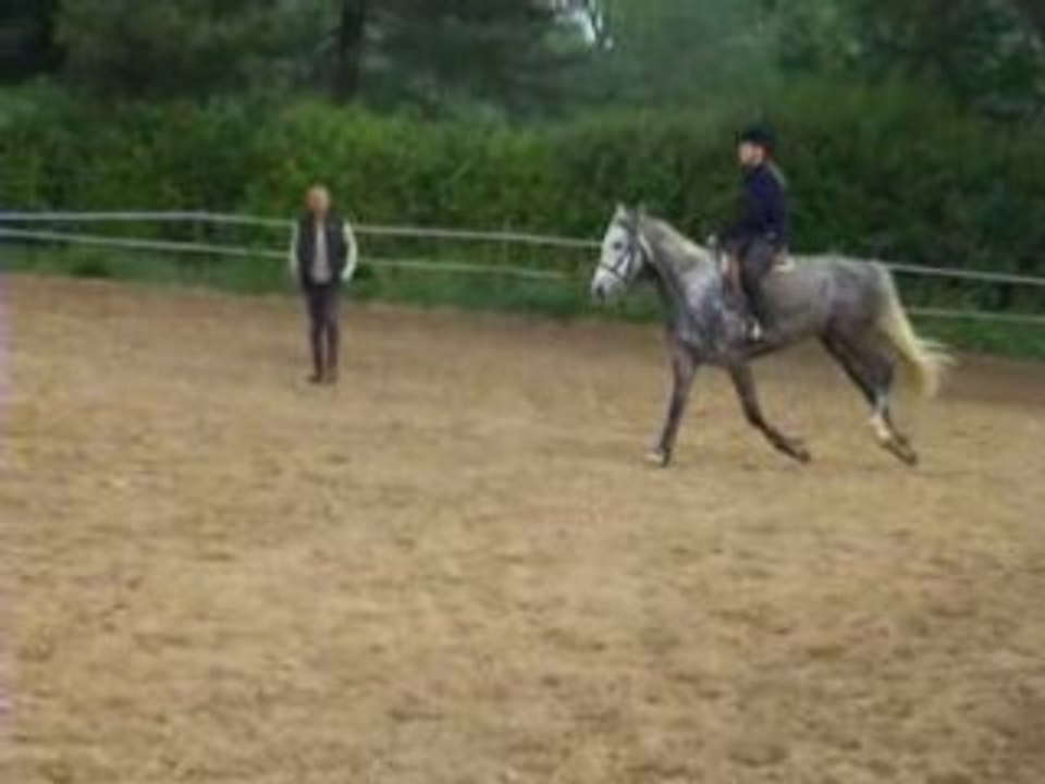 Moi et Mystère Royal