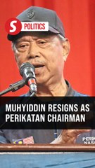 Muhyiddin: I resign as Perikatan chief