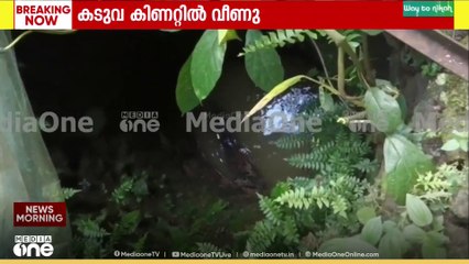 ചിറ്റാറിൽ കിണറ്റിൽ വീണ കടുവയെ പുറത്തെടുക്കാൻ ശ്രമം തുടരുന്നു...