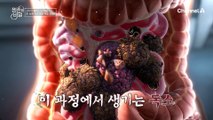 극심한 장 트러블 증상! 매일 치르는 화장실 전쟁♨ 장 속에 가득 쌓인 독소 때문?