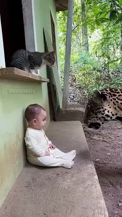 AQMGlNjqsxXSVVSRccks2tK_S-BfJITfHSVPNGlZ-FXsrIFnKk_UuvS4IijNlYNvqZnLFEgWK1ZJOk18NmGGEYxE7431K8Ab2GBNk4bkWFK7VQ