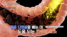 소화 불량 개선하고 22kg 감량! 나잇살 타파에 도움받았다는 카무트 효소란?