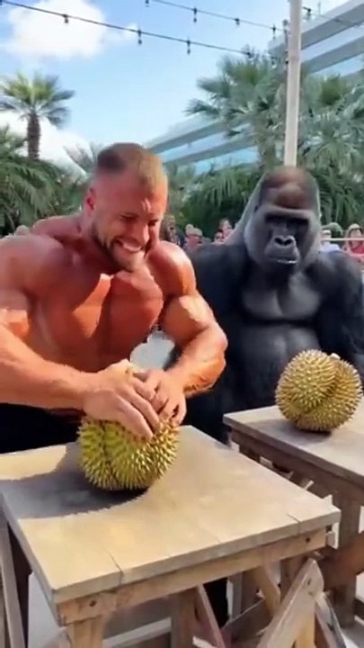 AQNbXBYpjyAyvmdYHuIbQjZaViNkzuUjT8aA6SoN8XrRyl2-sFS8OWQNdfFI7bIjwpYj6kaba0UE_Z5O8Eztp2P4mCIDHwGvTFO0IdAPL_EsWw