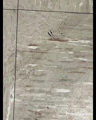 DEL BOSQUE: MESSI MÁS QUE PELE QUE DI STEFANO Y MARADONA SOLO FALTÓ QUE DIJERA EL VIEJO ESTÚPIDO HASTA JUNTOS NO RESPETAR RANGOS TODOS ELLOS ERAN MEJORES QUE MESSI FÁCIL FÁCIL LO QUE TIENE DE VIEJO VICENTE DEL BOSQUE LO TIENE DE BURRO DE PENDEJO