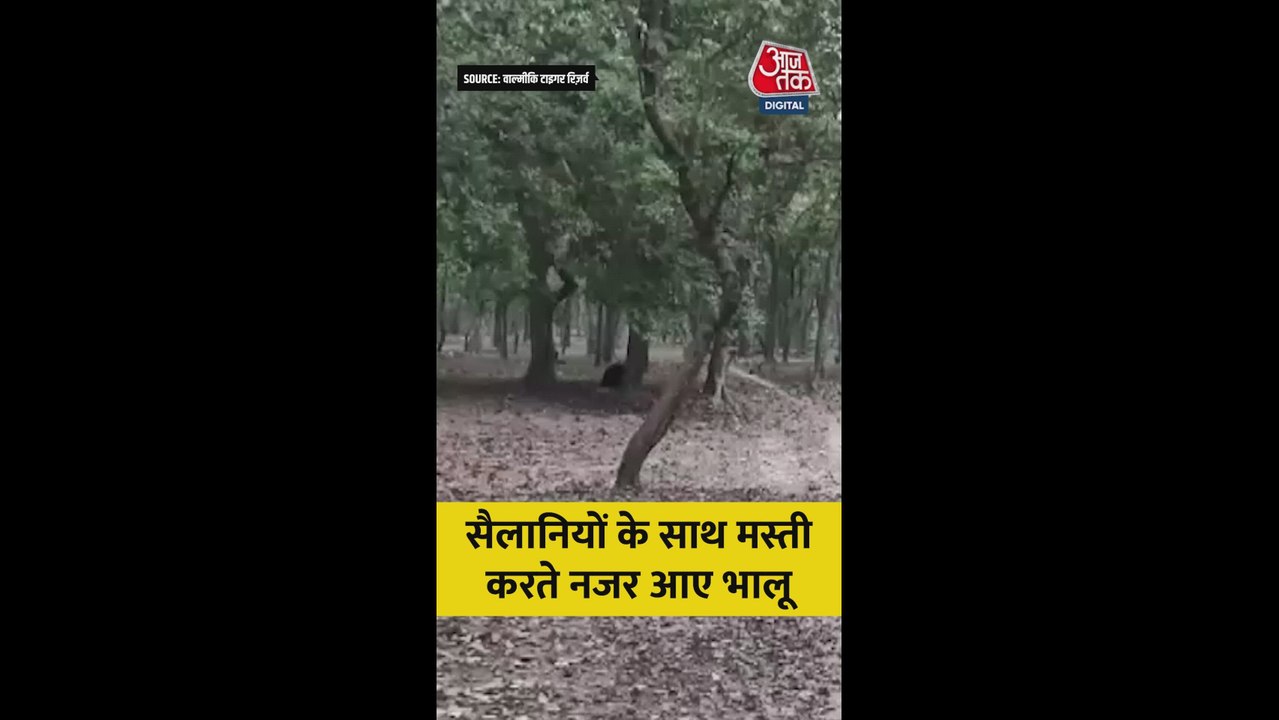 सैलानियों के साथ मस्ती करते नजर आए भालू; Video
