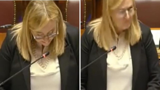 Malinteso tra Mulè e Albano al 92esimo ordine del giorno della Manovra: «Acqua? No, intendo 'beva pure!'»