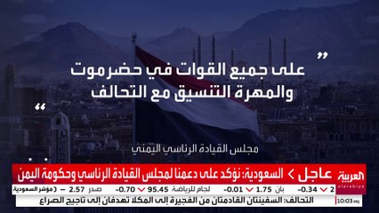 مجلس القيادة الرئاسي اليمني يمنح محافظي حضرموت والمهرة الصلاحيات لتسيير شؤون المحافظتين