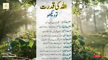 ALLAH ki Qudrat | Quran.o.Hadees | #islamicvideo #fyp #trending