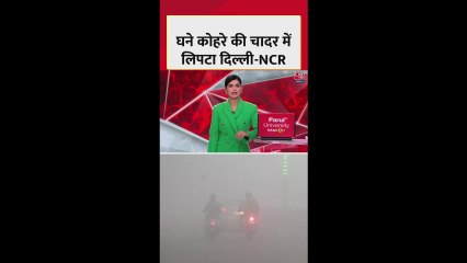 घने कोहरे की चादर में लिपटा दिल्ली NCR, बढ़ी कड़ाके की ठंड