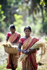Educated Women Farmer