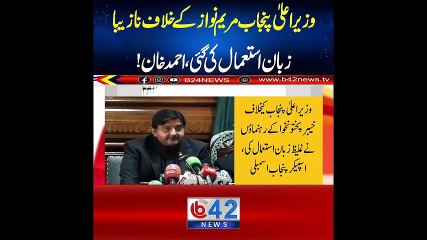 "Political Reactions Erupt After Inappropriate Remarks Against Punjab CM Maryam Nawaz"