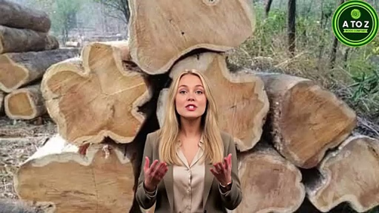 Mahogany vs Teak – Differences Explained | AtoZ Wood Company