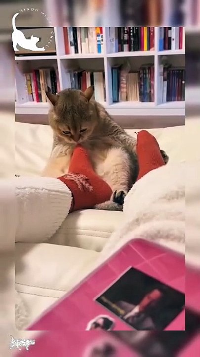 He regretted it instantly !