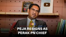 Peja resigns as Perak PN chief