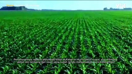 VOI Hari Ini: Banjir Kalimantan Selatan Setinggi Atap Rumah, Karena Lahan Sawit Seperti Sumatera?