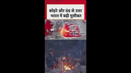 उत्तर भारत में कोहरे का 'कोहराम', कई इलाके चपेट में