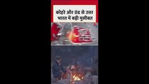 उत्तर भारत में कोहरे का 'कोहराम', कई इलाके चपेट में