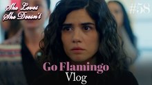 Go Flamingo Vlog #58