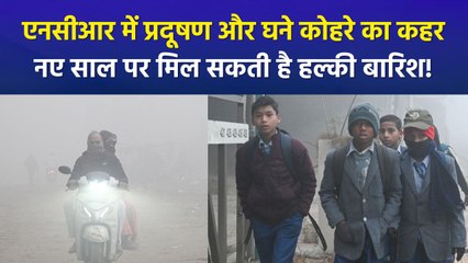 दिल्ली एनसीआर में पॉल्यूशन और घने कोहरे का कहर जारी, कड़ाके की ठंड से प्रभावित हो रहा पूरा उत्तर भारत
