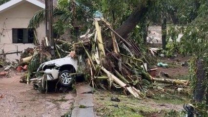 Cebu City, Philippines: Cars and trees incur massive damage during Typhoon Tino