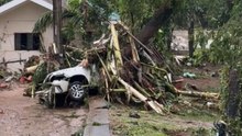 Cebu City, Philippines: Cars and trees incur massive damage during Typhoon Tino