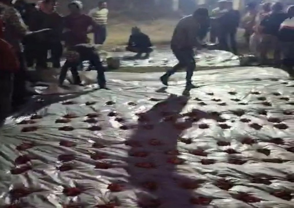Video: रेबीज संक्रमित कुत्ते ने जिस बकरे को काट...