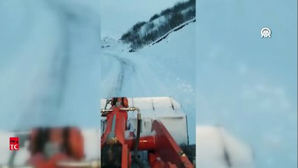 Domuz sürüsünün karda koşuşturma anı, cep telefonu kamerasıyla kaydedildi