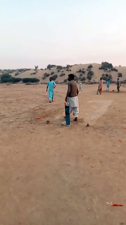 Cricket