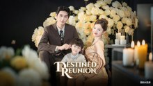 DESTINED REUNION