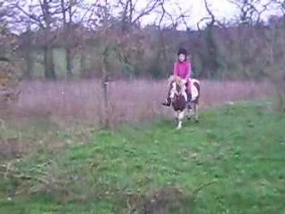 tonerre en cross obstacle improvisé