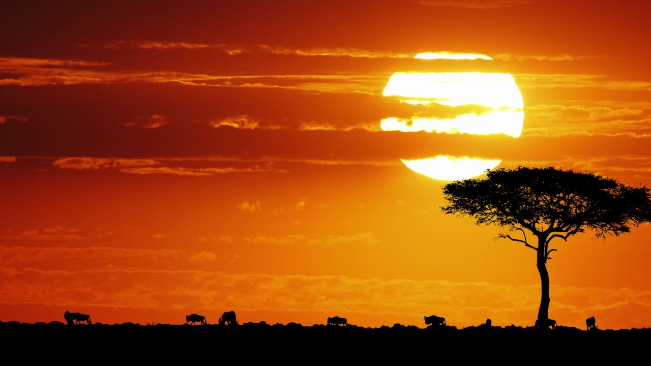 From the Loess Plateau to the East African Plateau