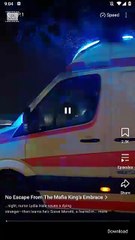 No Escape From The Mafia King's Embrace [ NEW MOVIE RELEASES ]