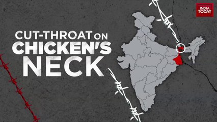 Siliguri Corridor Row: Sadhguru Calls for 'Elephant' Evolution; Temjen Imna Along Hits Back at Bangl