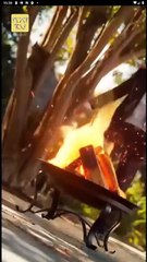 Reborn for the Lycan King - FULL MOVIES ENGLISH SUB