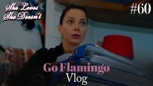 Go Flamingo Vlog #60