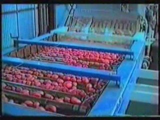 LINEAS ENVASADO PATATAS