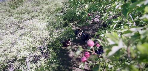 Ghost Blows Out The Light: Finding Hu Ba Yi (2017) Ep 23 [Eng Sub]