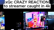 INSANE xQc reaction to streamer caught in 4K😮